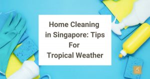 Home Cleaning in Singapore Tips for Tropical Weather